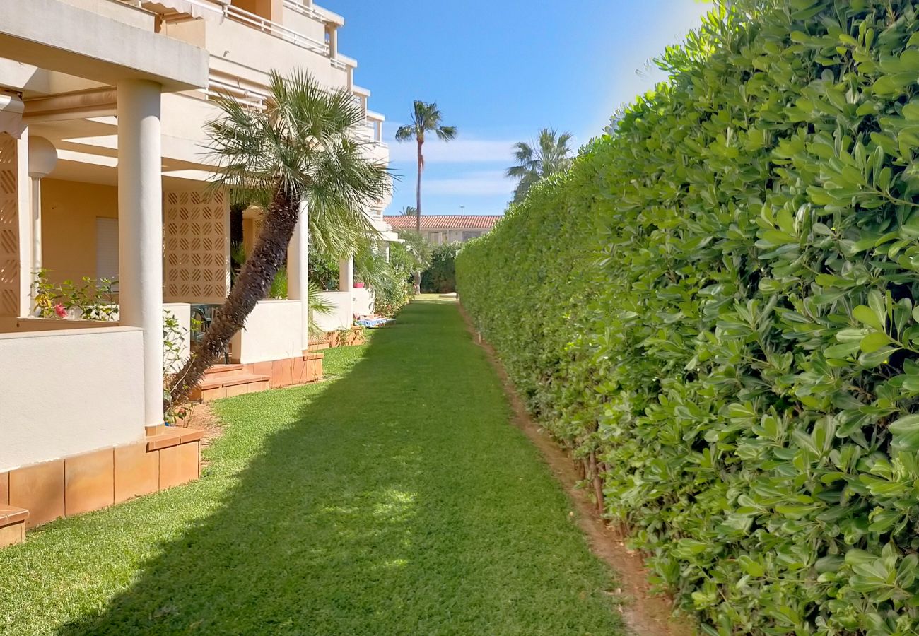 Apartamento en Denia -  AP2236 El Faro