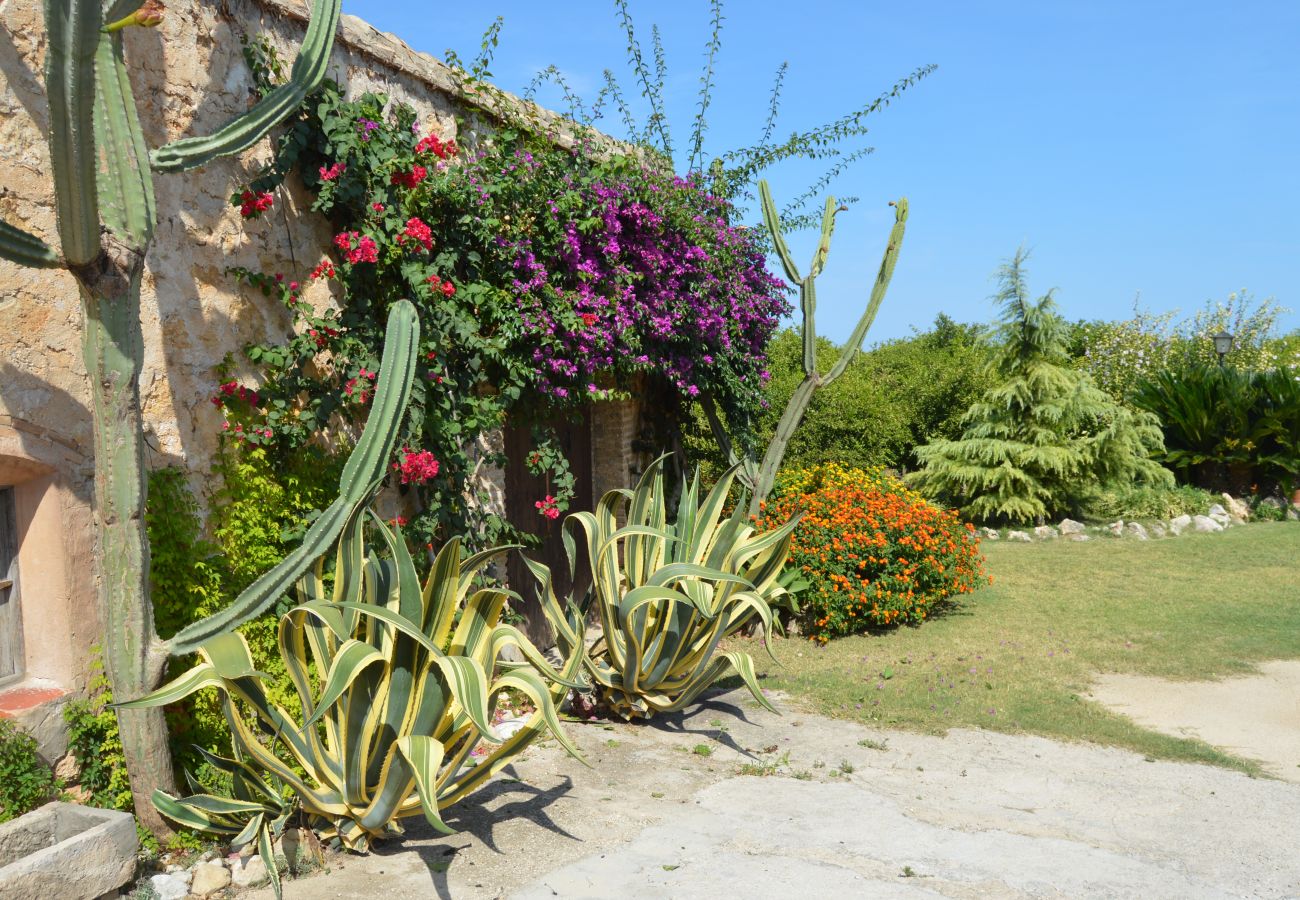 Casa rural en Oliva - Anacasa Oliva Partida Canyaes CH752