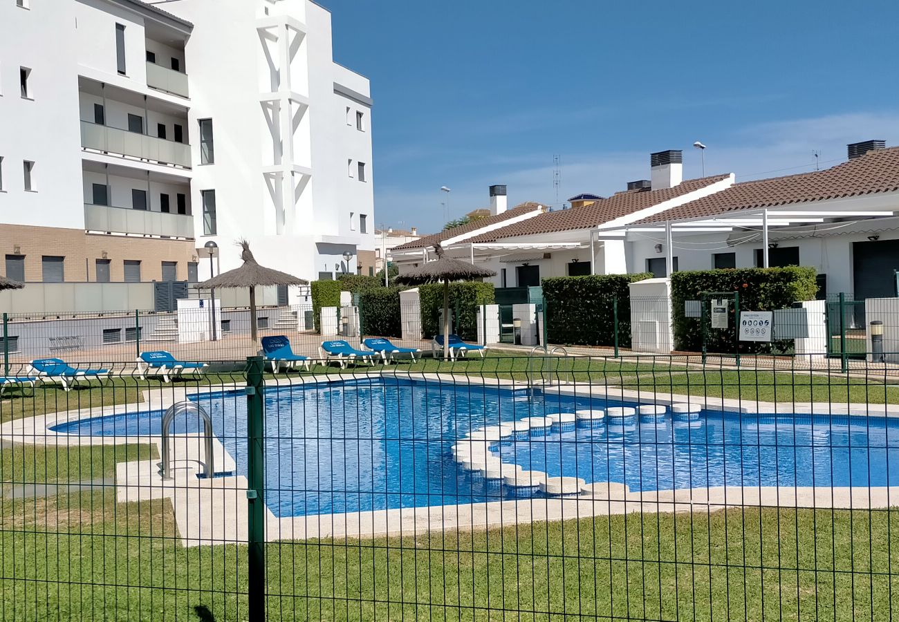 Apartamento en Oliva - Anacasa Dunas MET Oliva Nova Dos Terrazas AP201