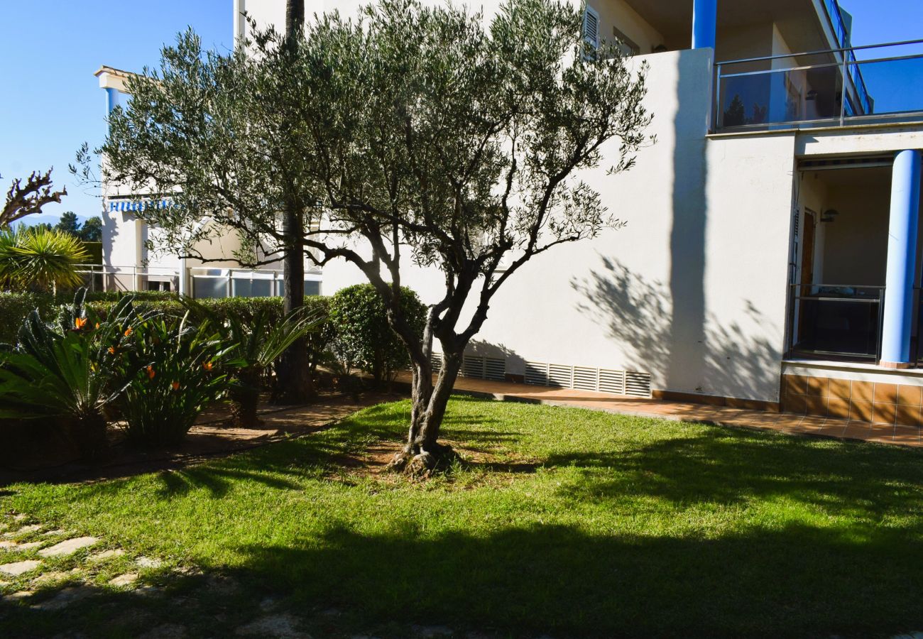 Estudio en Denia - Anacasa Estudio Marivent Deveses ES1125