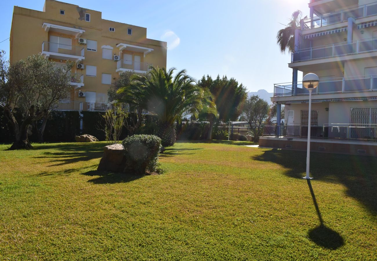 Estudio en Denia - Anacasa Estudio Marivent Deveses ES1125