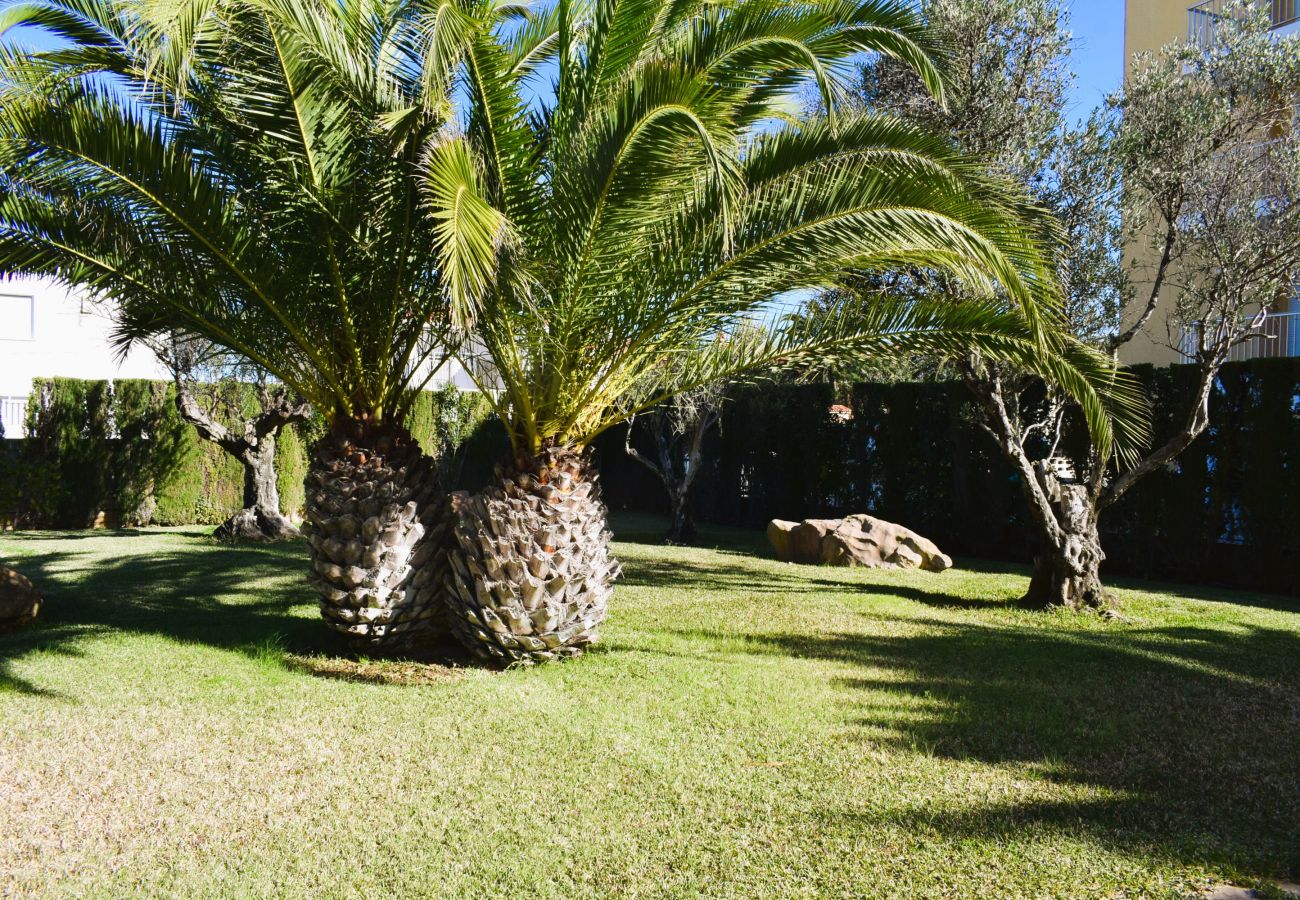 Estudio en Denia - Anacasa Estudio Marivent Deveses ES1125