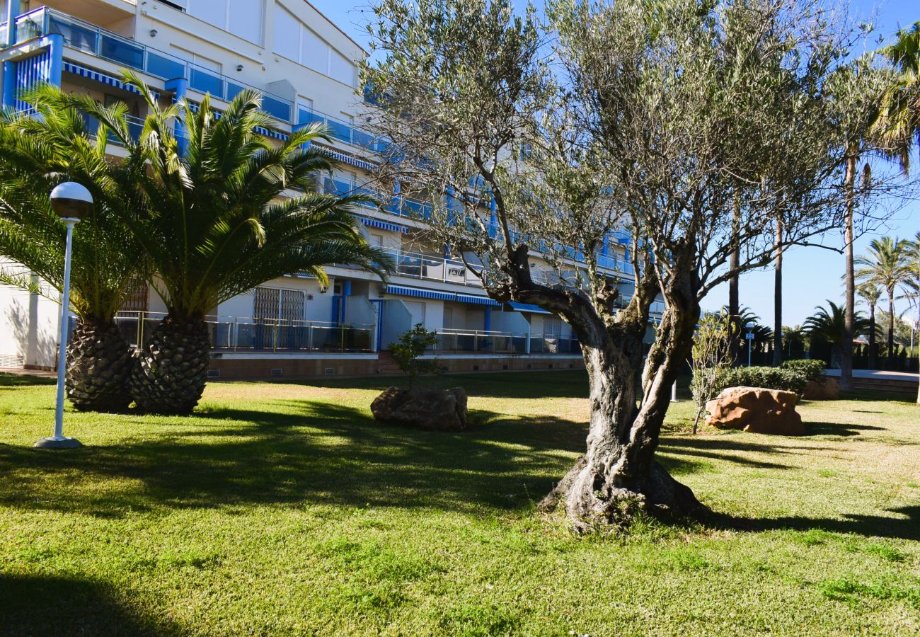 Estudio en Denia - Anacasa Estudio Marivent Deveses ES1125