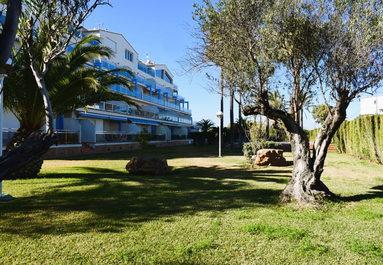 Estudio en Denia - ES1125 Estudio Marivent Deveses