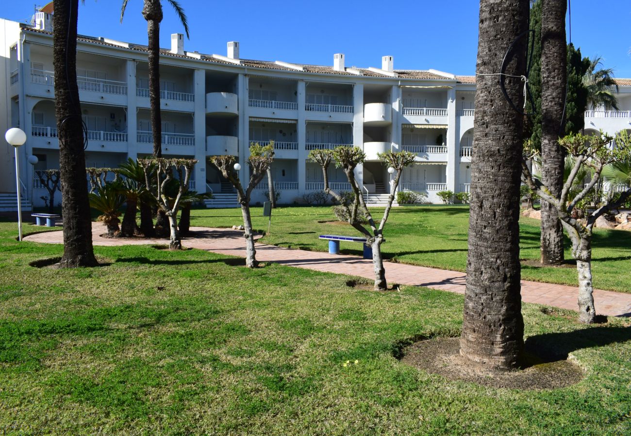 Apartamento en Oliva - Anacasa San Fernando MET Oliva Nova AP611