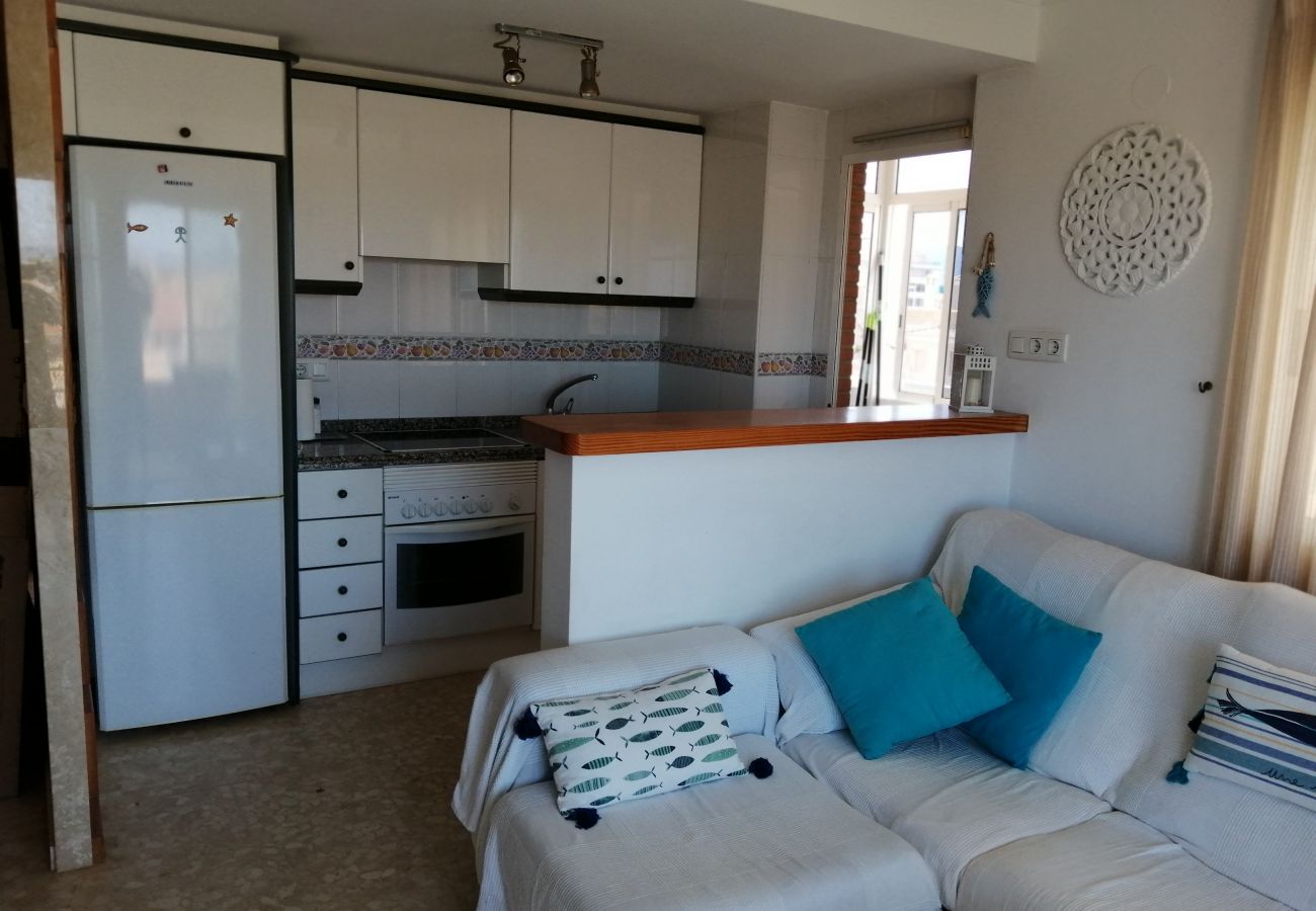 Apartment in Oliva - Anacasa Playa Sector 5 Napols AP844 