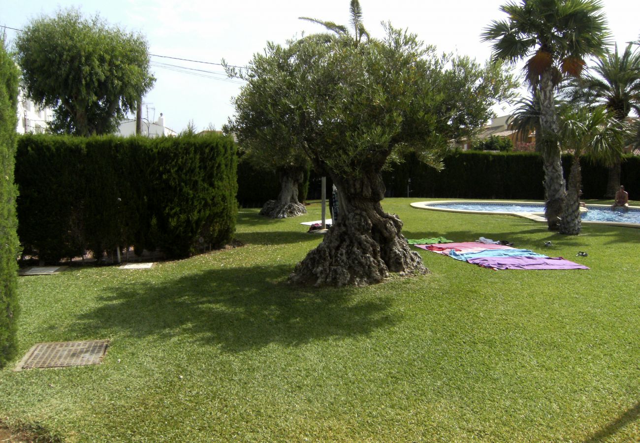 Apartment in Denia - Anacasa Sueño de Denia I Marines Bassetes AP2108 