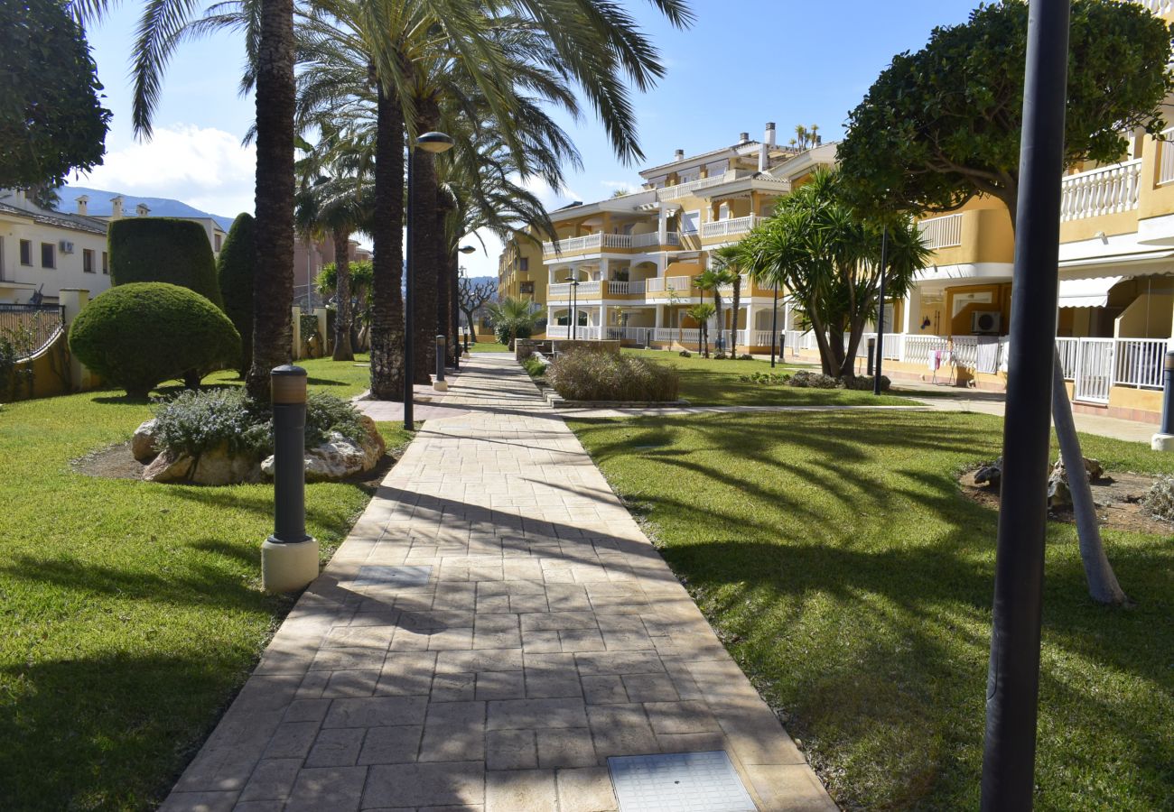 Apartment in Denia - Anacasa Playasol Mediterranea AP2243