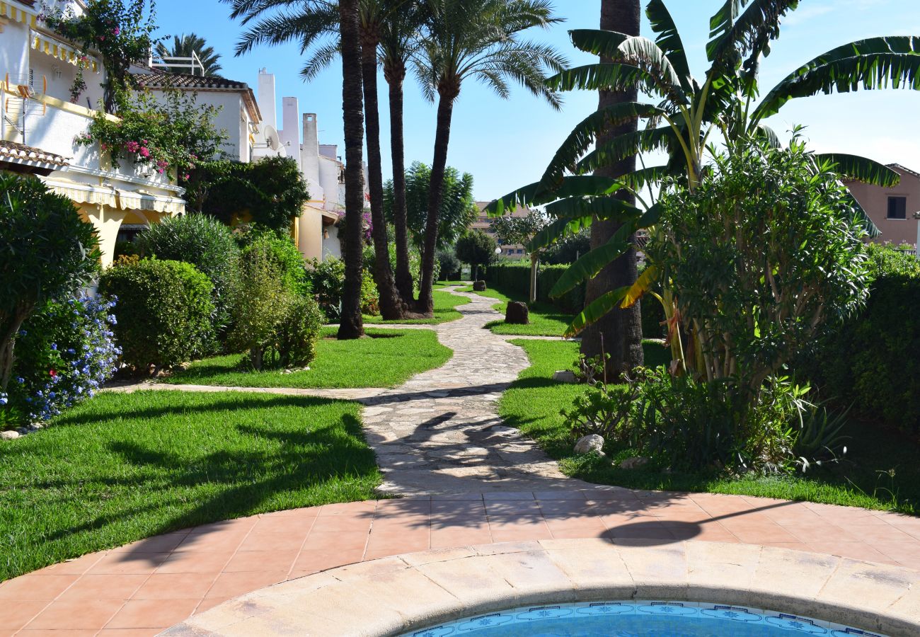 Townhouse in Denia - Anacasa Duplex Marineta Bot DUP2135