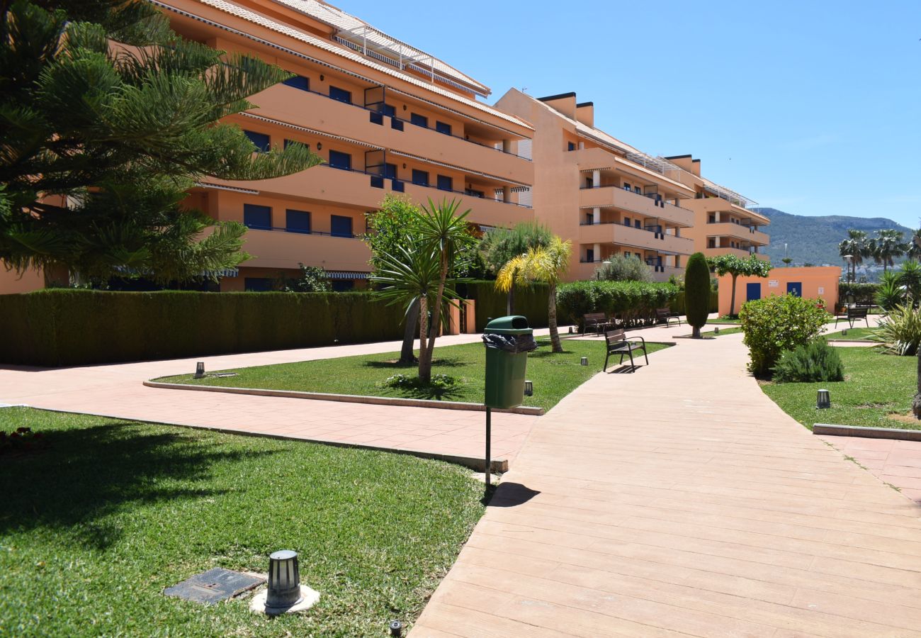 Apartment in Denia - Anacasa Marjales de las Marinas AT2214