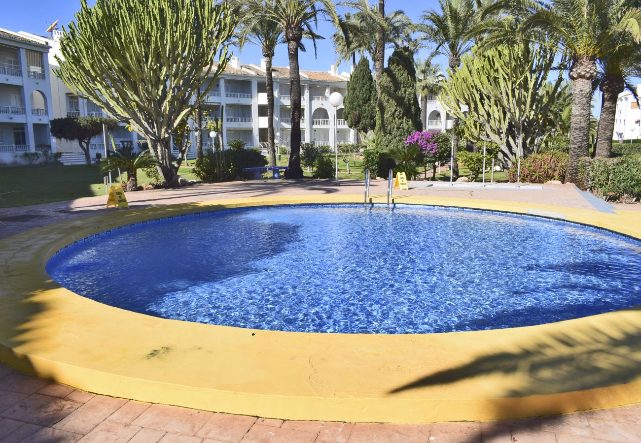 Apartment in Oliva - Anacasa San Fernando MET Oliva Nova AP611